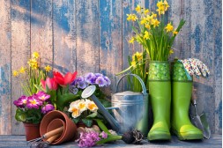 Ako pripraviť záhradu na jar